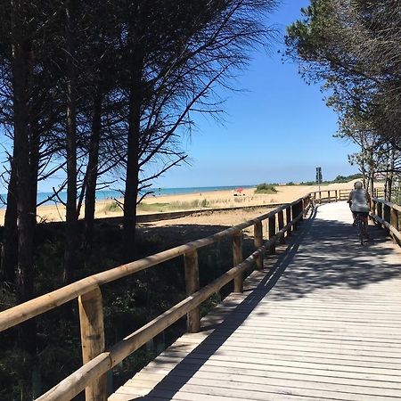 Appartamenti Narcisi Bibione Dış mekan fotoğraf